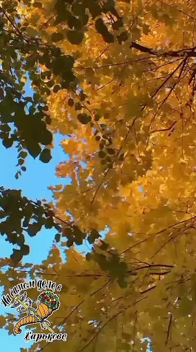 Синий Харьков.. Осень голубая