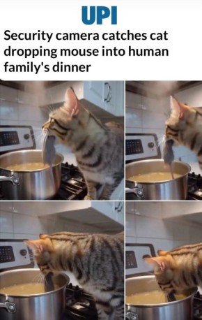  ,       :    