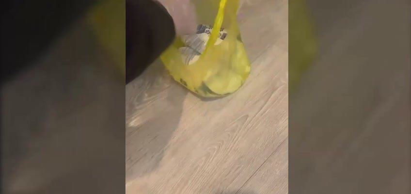 В Георгиевске предотвращён теракт