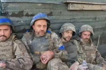 Сводка СВО за 21 октября. За сутки войсками группировки войск «Восток» разгромлены формирования пяти бригад ВСУ в Днепропетровской и Запорожской областях