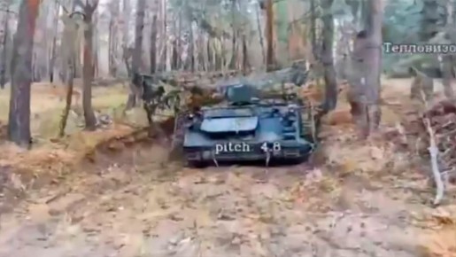  FPV-   113   
