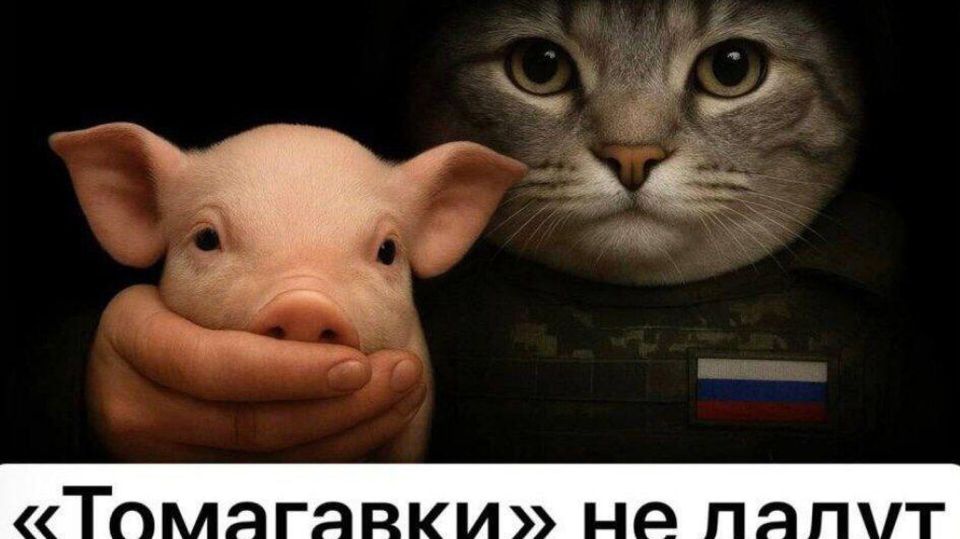 Вот и закончился очередной насыщенный событиями день. Чем он запомнится подписчикам "Украина.ру"?