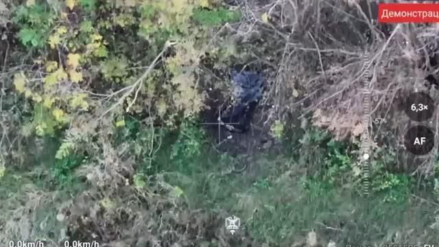 Кадыров: бойцы "Ахмата" уничтожили группу военных ВСУ на харьковском направлении