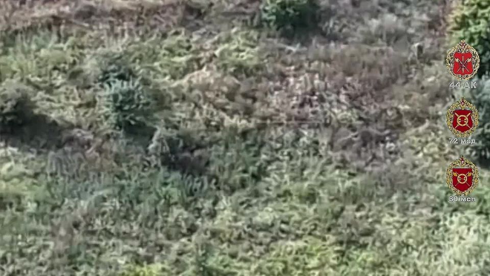 Повергаем в шок. Сумская область