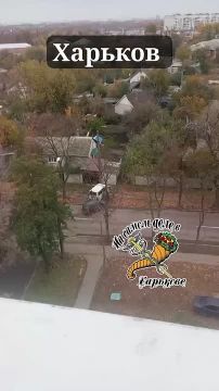 Ля! Да их там человек ВОСЕМЬ на ОДНОГО!!!