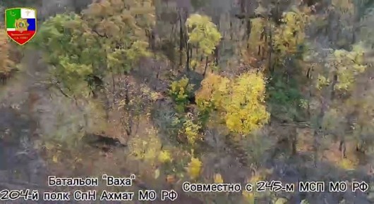  :  ..     һ      245-        -72    .   ...