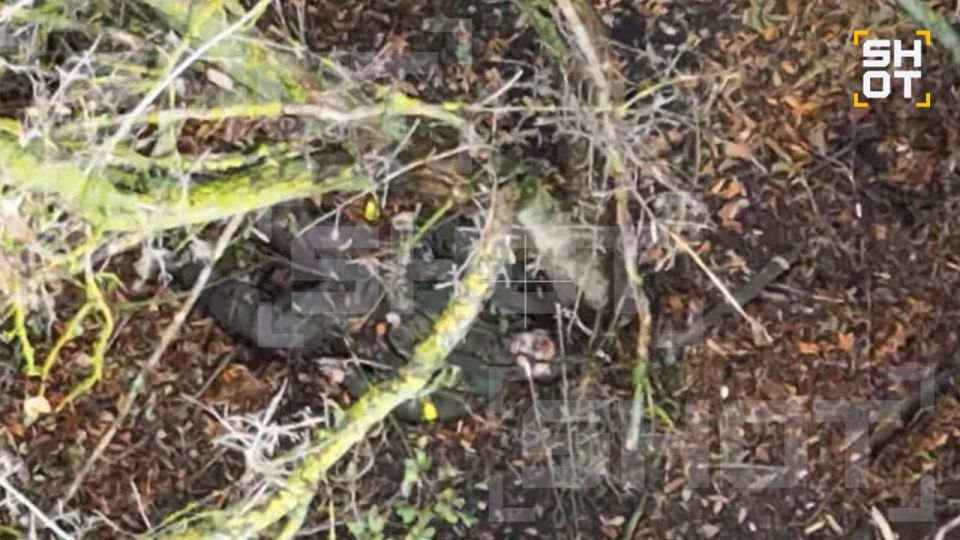 ��� � �������� ����������� ������� ����������� �� ��, ��� �� �� ������ ������� ������ ������ � �������� �������� �������