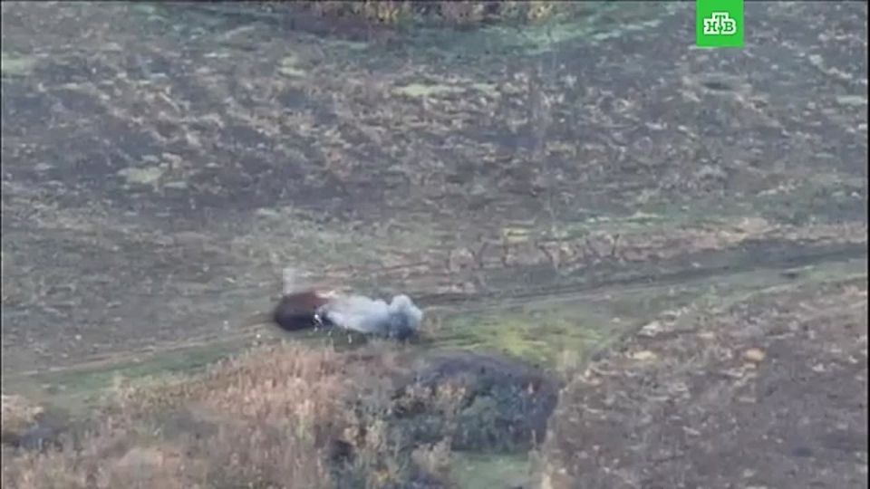 Российские военные уничтожили в Харьковской области два бронетранспортера М113 американского производства и личный состав ВСУ