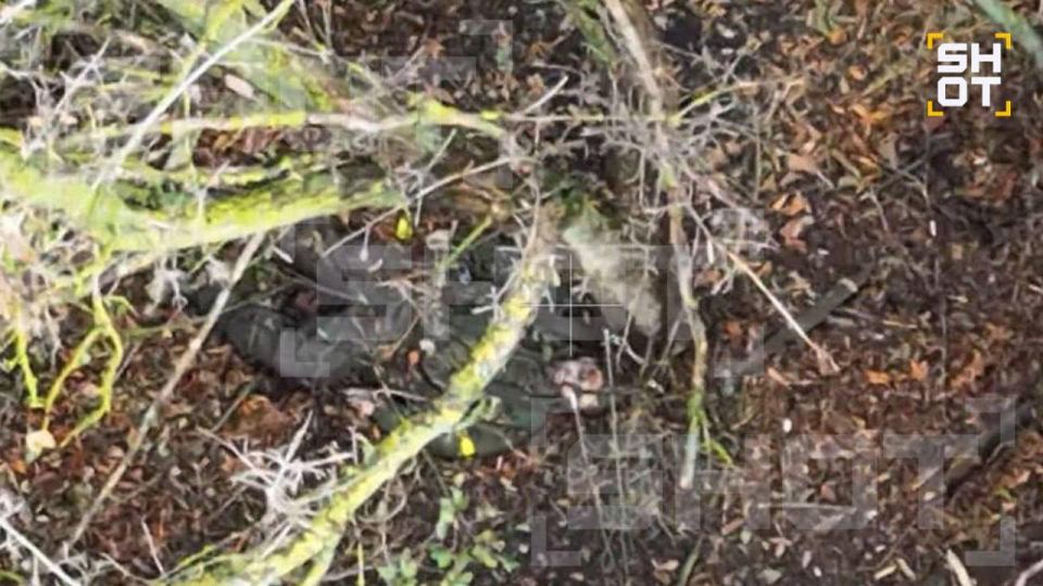 В Купянске ВСУ расстреливают своих и бросают тела: фото