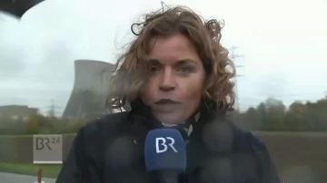 Когда перейдёте на коровьи лепёшки?