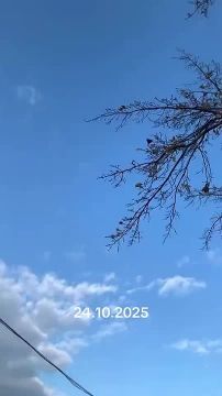 Чингис Дамбиев: Русская "Герань" поражает цель в н.п. Лозовая Харьковской области