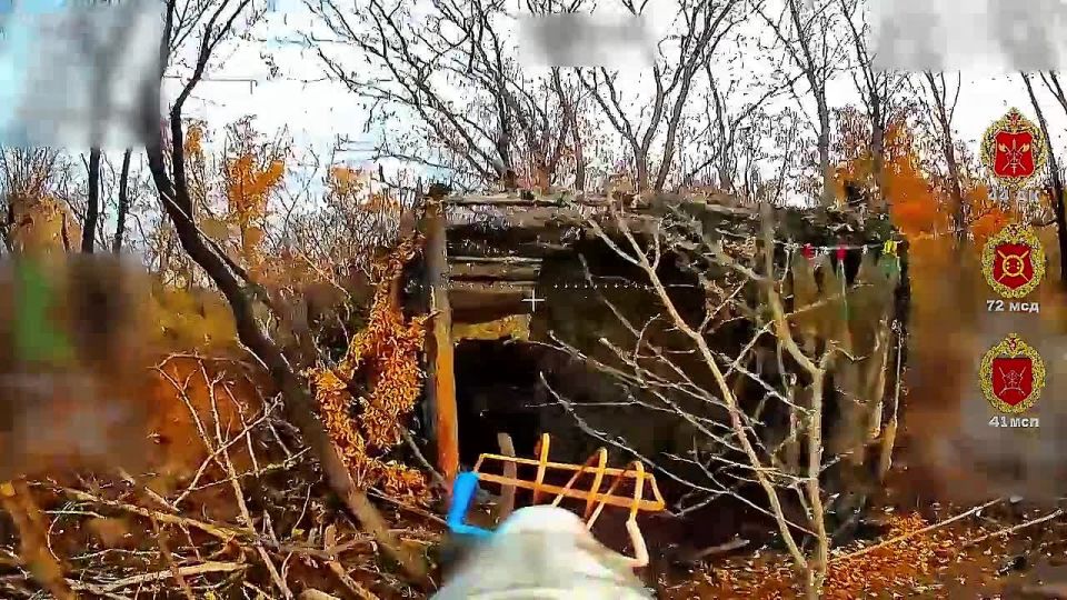 ����� � �����������. ����������� ������� ������ ���� 41 ��� 44 ���������� ������� ������ � ��������� � ������� ���- ����� �� ����������� ��������������� ��� ��� � ����������� ����������� �������