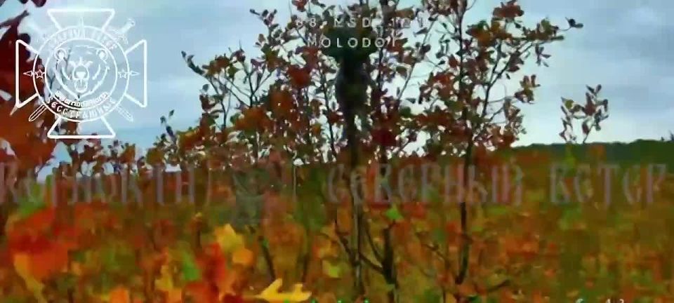 Уничтожение дроном украиеского квадроцикла с Миколами в Харьковской области