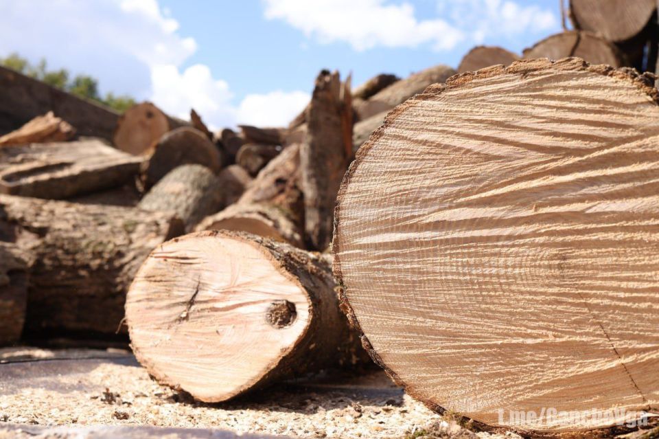 Глава ВГА Харьковской области сообщил, что практически все жители, проживающие на подконтрольной территории Харьковщины, обеспечены заранее подготовленным углем и дровами для отопления домовладений