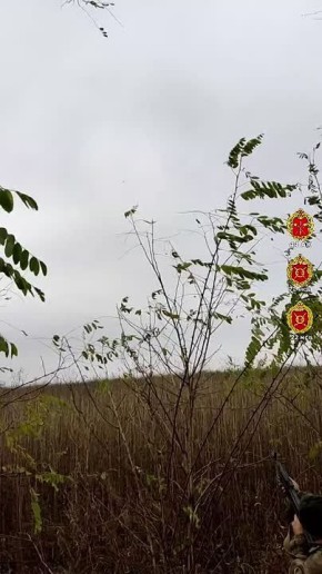 Невидимый фронт: мгновение, спасшее жизни