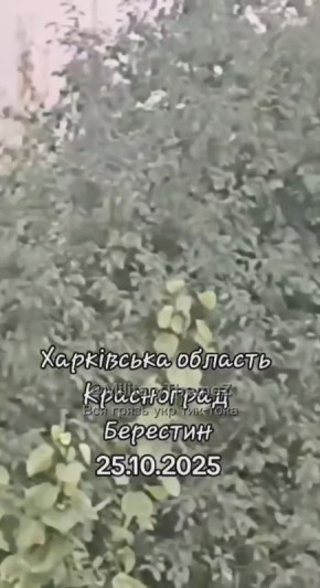 В харьковской области полицаи набирают "добровольцев" для службы в ВСУ просроченного