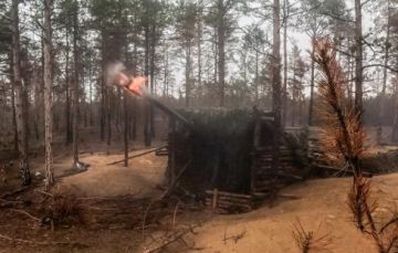 Росгвардейцы таранами сбили "Бабу-ягу" ВСУ в Харьковской области
