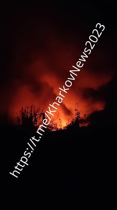 � ������� ���-�� ����� ����� �������� ���� - �������� ������� ������