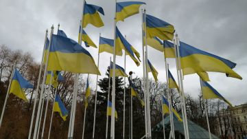 Отдадим в 100 раз больше! Почему Киев готов на что угодно ради возвращения всего семи грузинских наёмников?