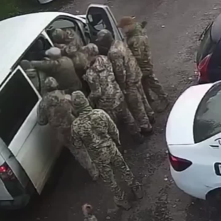 Бусификация на Украине не щадит никого, даже псов — йоркширского терьера прихватили тцкшники и засунули в машину