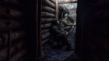 Новости СВО: российские бойцы уничтожили еще 1400 украинских боевиков