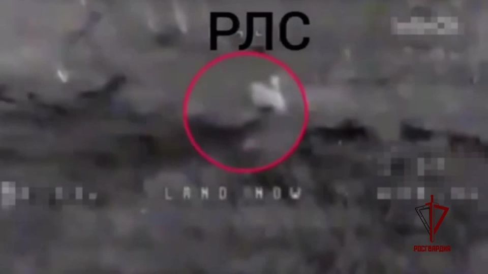 Росгвардейцы обнаружили и уничтожили радиолокационную станцию ВСУ на харьковском направлении