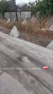Ковшаровка. Кадры со стороны мирных жителей того самого момента когда российский дрон, обнаружив их и поняв, что это мирные, не тронул их