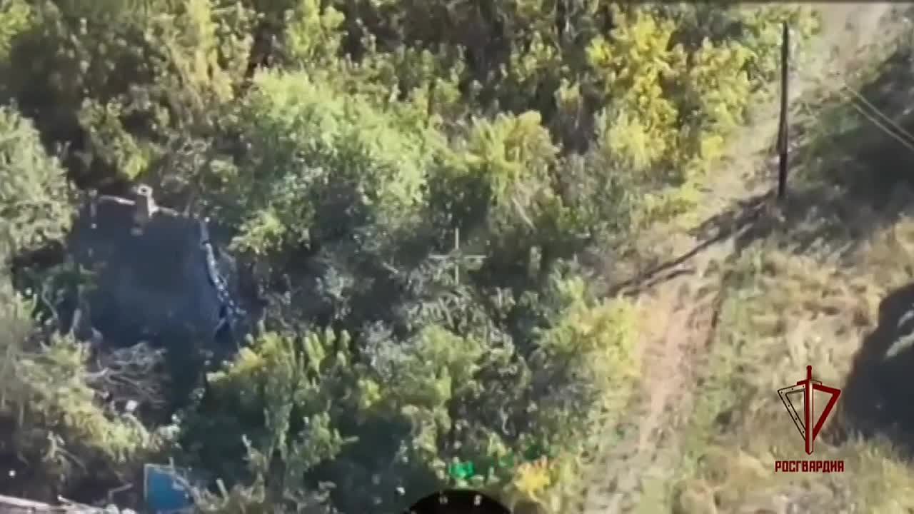 Военнослужащие Росгвардии уничтожили боевиков ВСУ на харьковском направлении