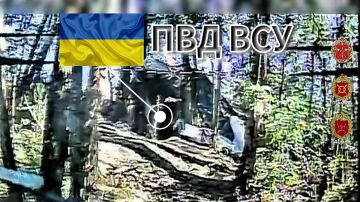 День открытых дверей. Харьковская область В лесном массиве Харьковской области расчёт БпЛА 41 мсп 44 Армейского корпуса посетил ПВД ВСУ