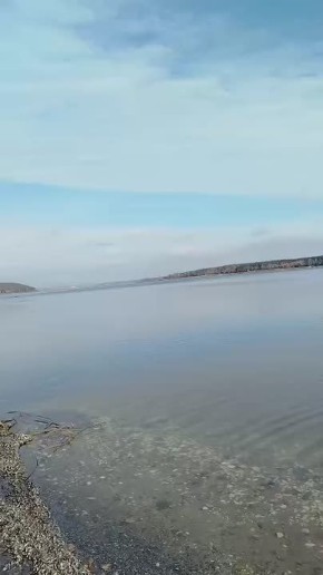 После разрушения ВСУ Белгородского водохранилища Северский Донец на севере Харьковской области выходит из берегов