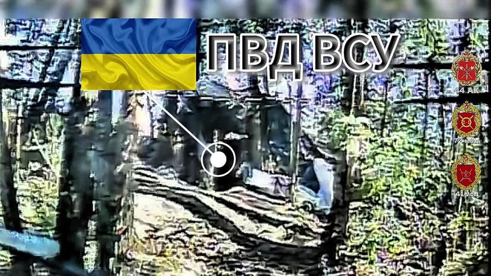 ���� �������� ������. ����������� ������� � ������ ������� ����������� ������� ������ ���� 41 ��� 44 ���������� ������� ������� ��� ���