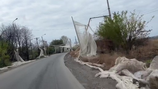  :      ,    ,      FPV-