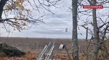 Блокированным в Купянске ВСУшникам все еще предоставляется возможность сохранить свои жизни - надо просто сложить оружие