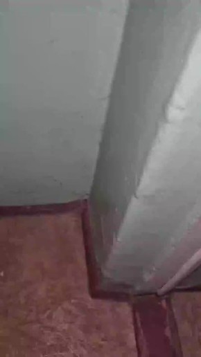    &quot;&quot;       14    