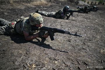 Минобороны рассказало о потерях ВСУ в зоне действия подразделений "Запада"