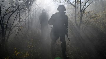 Оперативная сводка за 31 октября: успешное наступление ВС РФ и предотвращение теракта