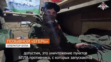 Минобороны России: Расчёты ударных БПЛА «Молния» группировки войск «Запад» уничтожили опорный пункт ВСУ на Купянском направлении