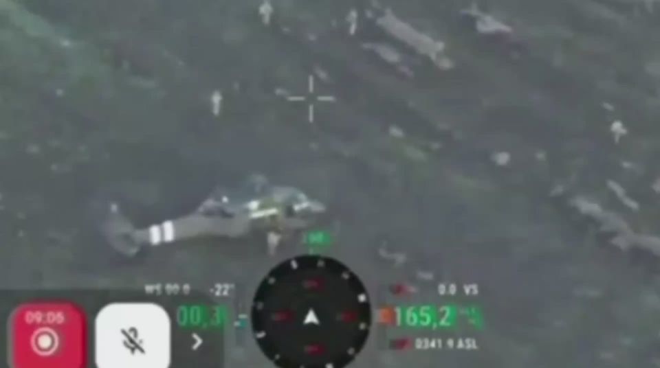 ���� � �������, ������������ � ���������������� �������� ��������!