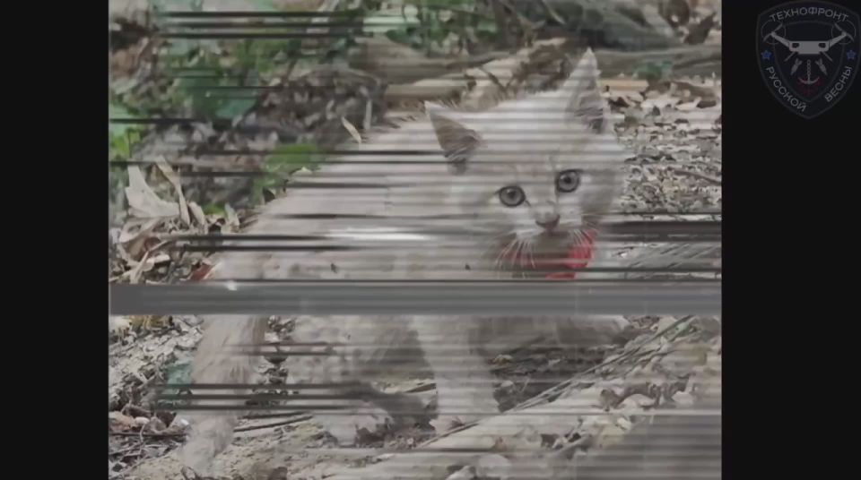 Охотники в Волчанских лесах