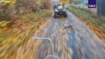 На Харьковщине уничтожены военные ВСУ при попытке вывести из окружения офицеров, сообщили ТАСС силовики