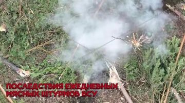 Купянское направление.. телеграм-канал Херсонский Вестник