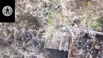 Сбросы с коптера по украинской позиции в жилой застройке Боровской Андреевке Харьковской области