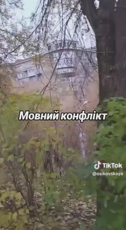 "������ �� ����, ����� ���� ���� ����� ������ �������"