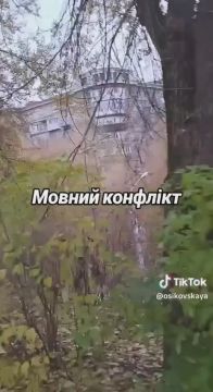 "Врагов не надо, когда свои друг друга готовы сожрать"