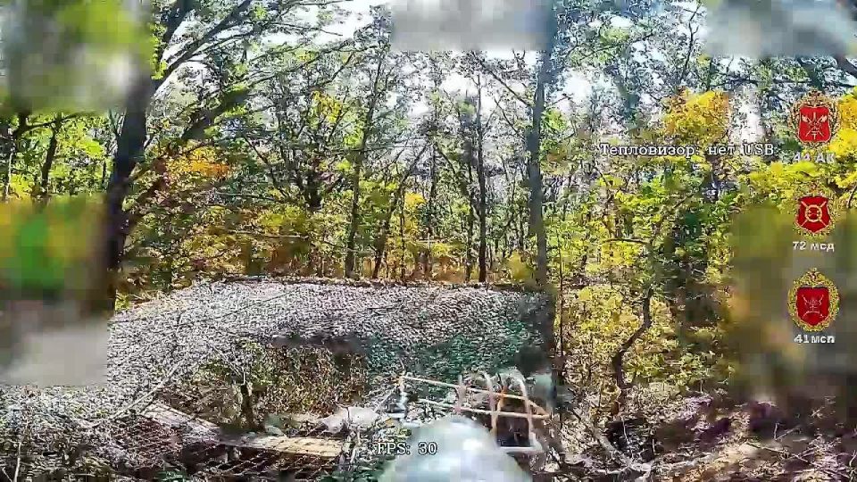 �������� ���������. ����������� ������� ������ ���� 41 ��� 44 ���������� ������� ������ ��������� �������� �� ��������� � ���������� ��� ����������, ������� � ������ �������