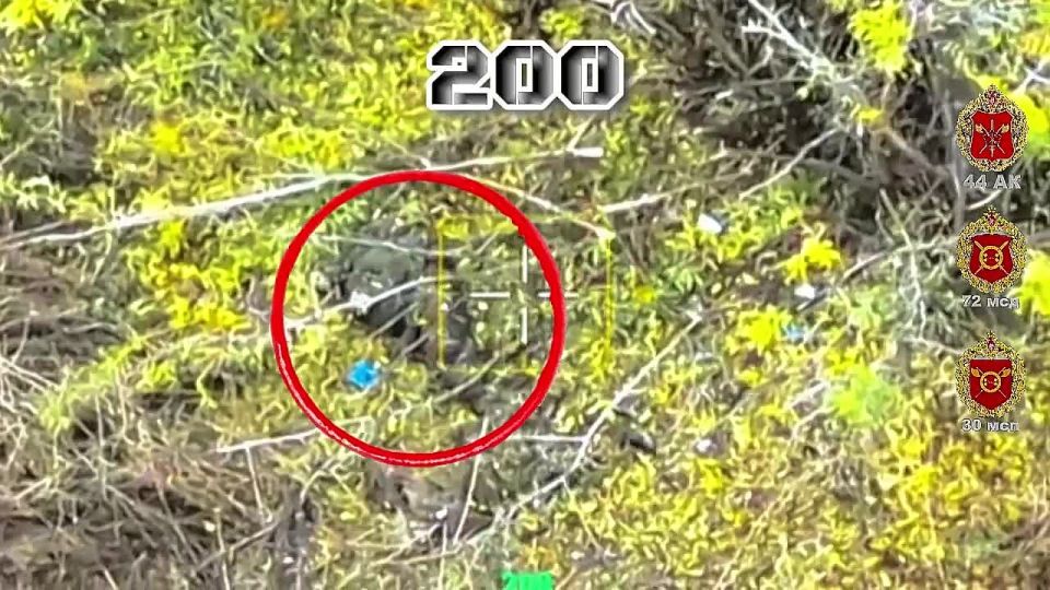 �� �����, �� ����. ������� ������� ������ ���� 30 ��� 44 ���������� ������� ������� ������������ �������� �� ���������� ����������� ���