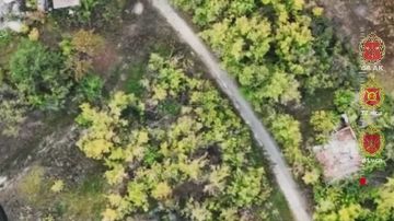 Залп с небес: боевик ВСУ нейтрализован