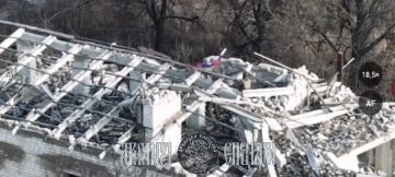   .   ,     128        ,      ,     13  2024 