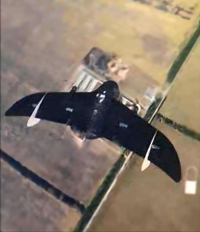 �������������� ����-��������� ������ ����� ���� � ��������� ����������