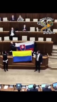 Миниатюра "Словацкий парламент и жовто-блакитка ганчирка"